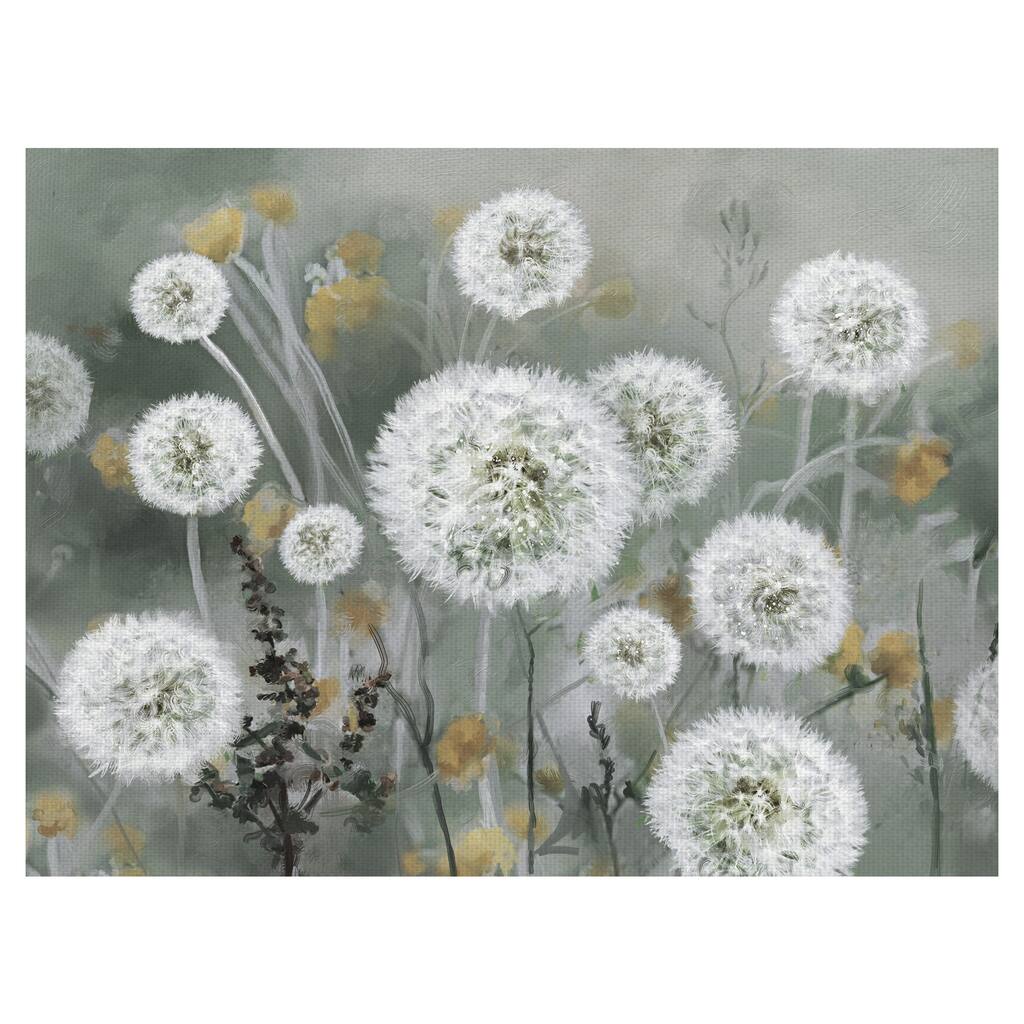 Wild Wishes by Studio Arts Canvas Art Print