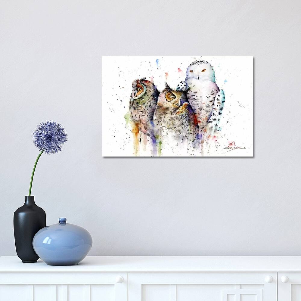 iCanvas "Owls Don't Sleep" by Dean Crouser Canvas Print