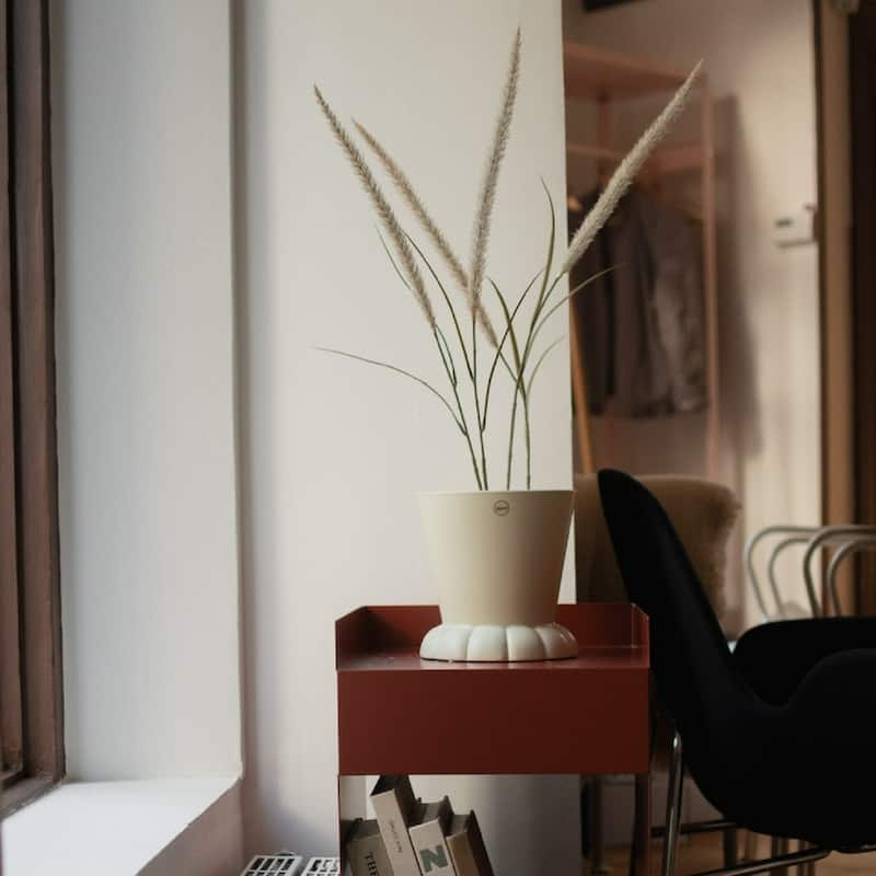 Small Matte Finish Ceramic Flora Pot Vase - 7.75" - Cream
