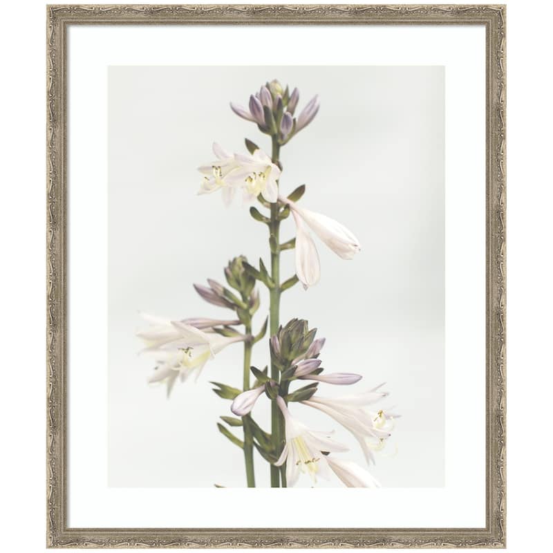 Kate and Laurel Framed Art Hosta by Alicia Abla - 22x26 - Silver