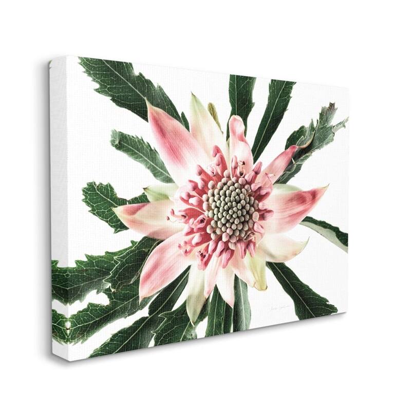 Stupell Bright Close Up Flower Anther Pink White Photograph Canvas Wall Art - 30 x 40