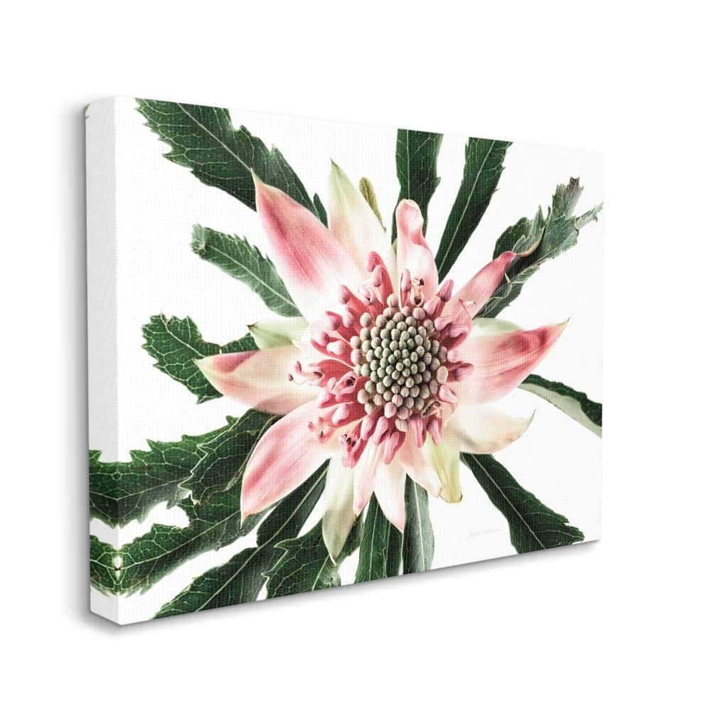 Stupell Bright Close Up Flower Anther Pink White Photograph Canvas Wall Art