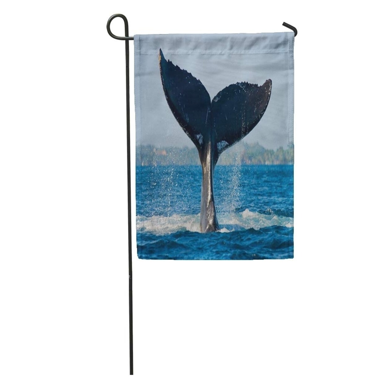 Shop Whales Humpback Whale Tail Madagascar Splashes Of Water Area