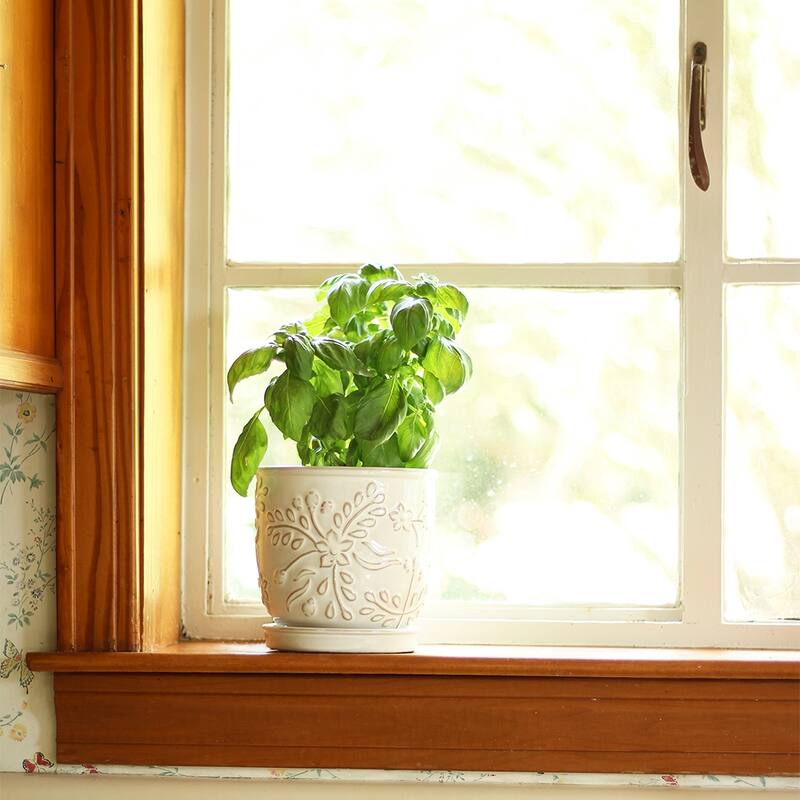 Southern Patio Venice White Ceramic 8.1-inch Planter (Pack of 2)