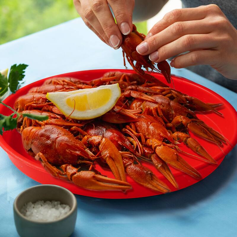 Creole Feast 15-Inch Crawfish Plates for Outdoor & Indoor, Red