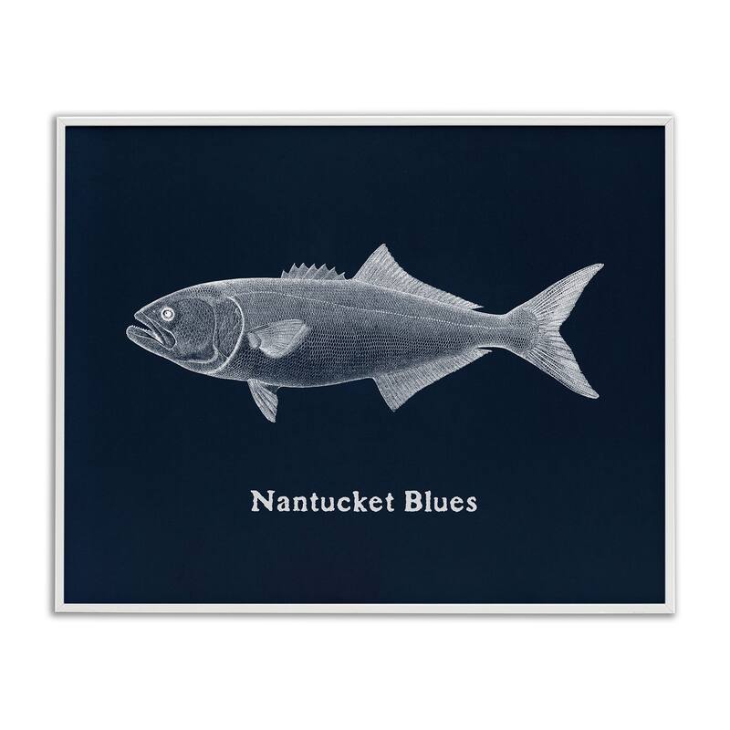 Stupell Nantucket Blues Fish Framed Giclee Art Design By Phillipa Katz - 20 x 16 - White