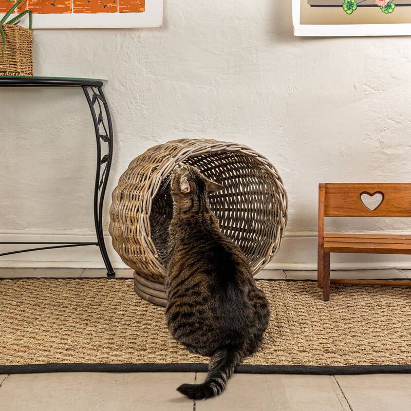 Socket Dome 19.5" x 17" Bohemian Handwoven Rattan Cat Bed with Machine-Washable Cushion, Kubu Gray