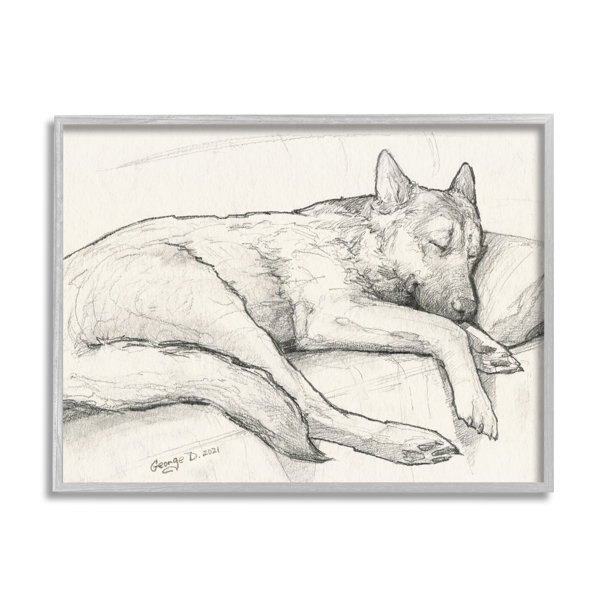 Corgi Dog Lolling Tongue Graphite Pencil Sketch On Canvas by George  Dyachenko Print