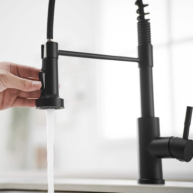 Single-Handle Pull Down Sprayer Kitchen Faucet in Black