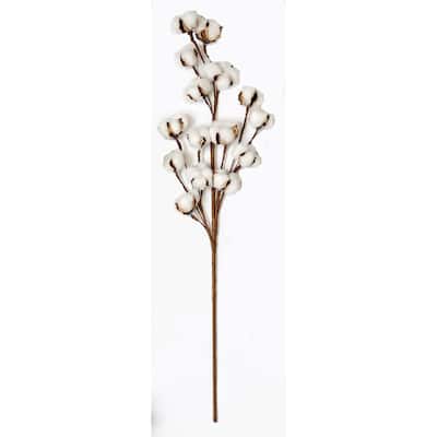30" Cotton Spray, Set of 2 - Multicolor