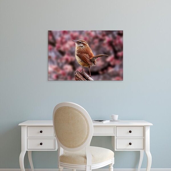 Easy Art Prints Adam Jones's 'Carolina Wren' Premium Canvas Art