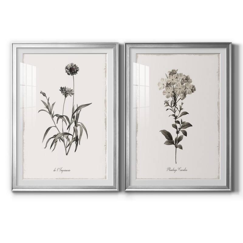 Sketchbook Imperial Premium Framed Print - Ready to Hang