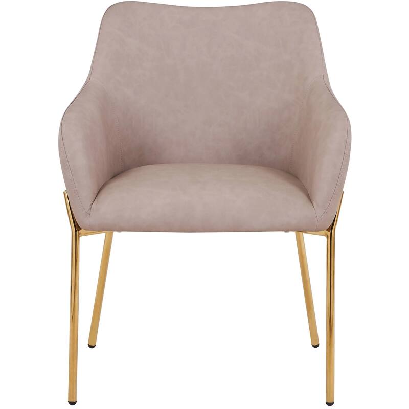 Zaire Upholstered Dining Chair in Velvet/Leather/Boucle with Gold Chrome Iron Set of 2