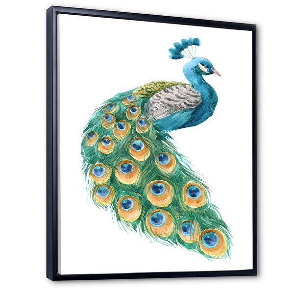Peacock Drawing Canvas Painting Peacock Premium Features Designart
