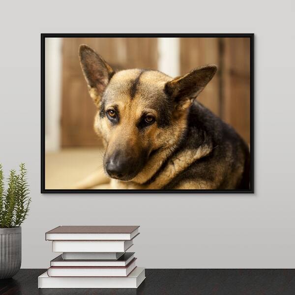 Shop Usa Utah Salt Lake Portrait Of German Shepherd Black