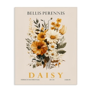 Stupell Nature Daisy Bundle Canvas Wall Art Design By Christopher ...