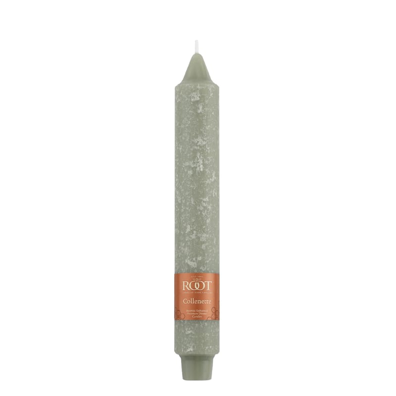 Root Unscented 9 In. Timberline™ Collenette Taper Candles box of 4