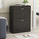 preview thumbnail 9 of 13, 23.6"W Trendy Shoe Storage Cabinet with 2 Large Fold-Out Drawers Black