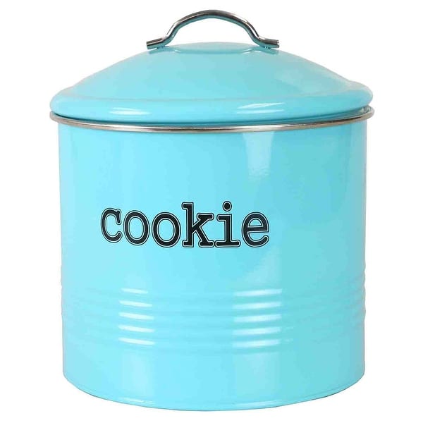 https://ak1.ostkcdn.com/images/products/is/images/direct/d14dd5f810868047cfc0d3dd8a8c90f5189d50a1/Home-Basics-Tin-Cookie-Jar%2C-Ribbed-Design%2C-Turquoise%2C-7.5x7.6-Inches.jpg?impolicy=medium