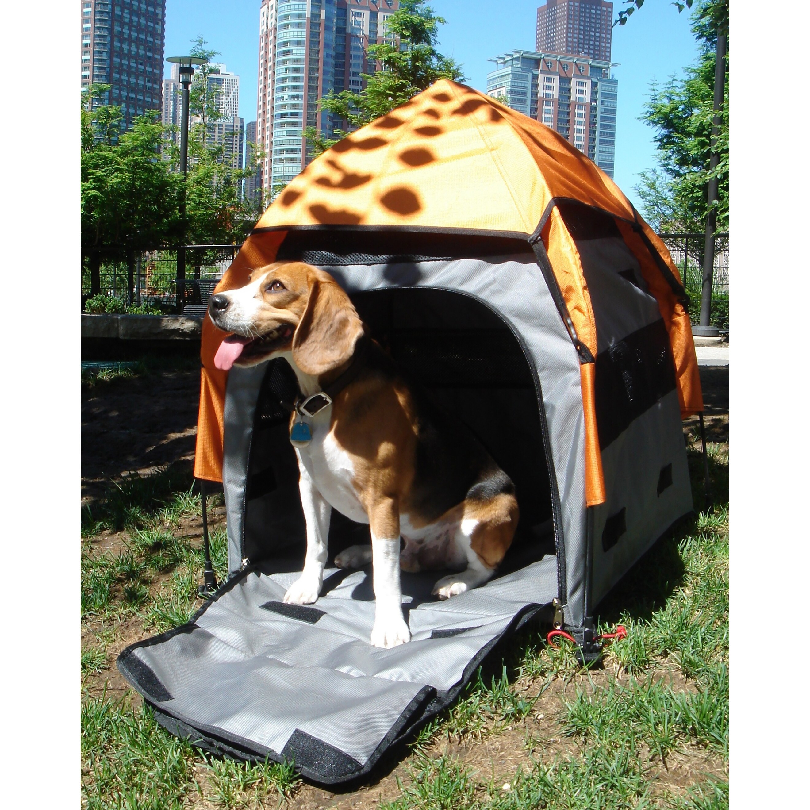 dog car containment