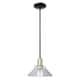 Option Clear / Black Antique Brass