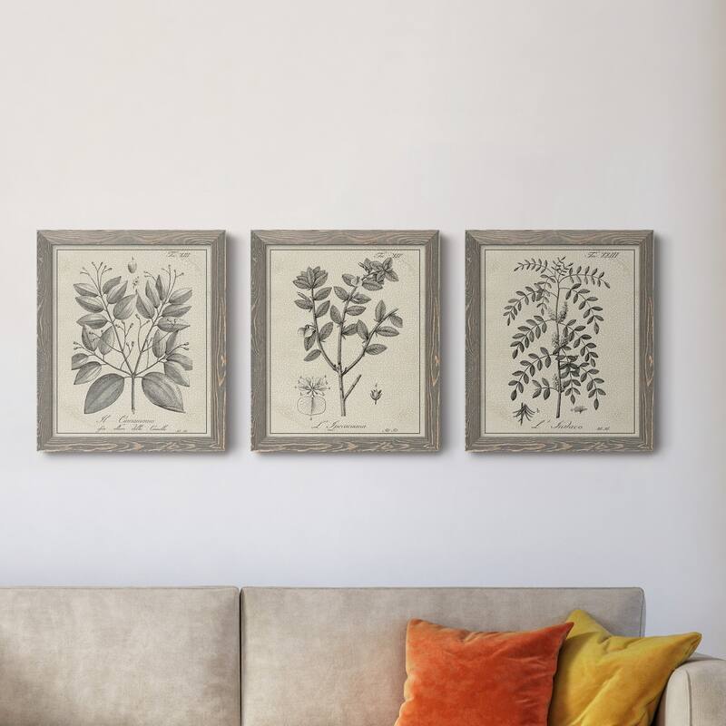 Antique Black & White Botanical VII-Premium Framed Canvas - Ready to Hang - Multi-Color
