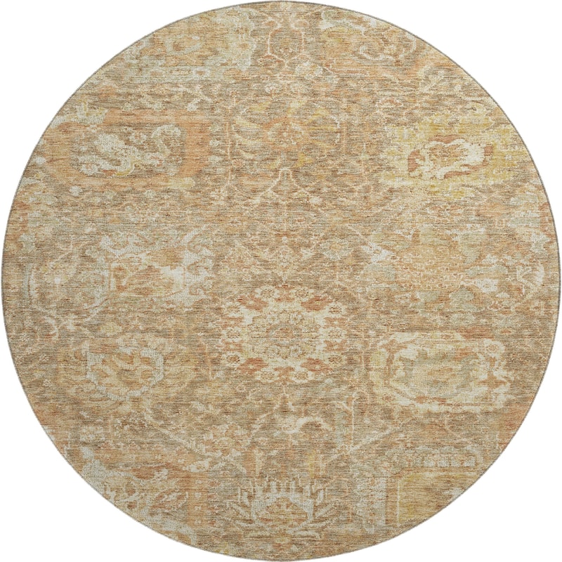 Premium Washable Super Soft Vintage Farmhouse Mayfield Rug