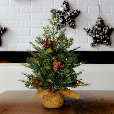 National Tree Company 2 ft. Nordic Spruce Tree with Battery Operated Warm White LED Lights - 2 Foot