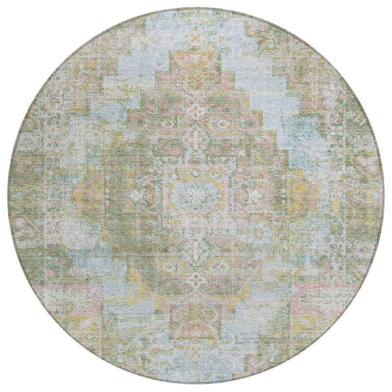 Machine Washable Indoor/Outdoor Traditional Global Chantille Rug