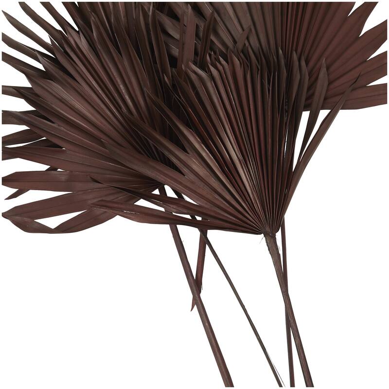 Dried Plant Palm Leaf Handmade Large Sun Spear Leaf Home Decor Natural Foliage - Dark Brown - Roche River Decor - Dark Brown