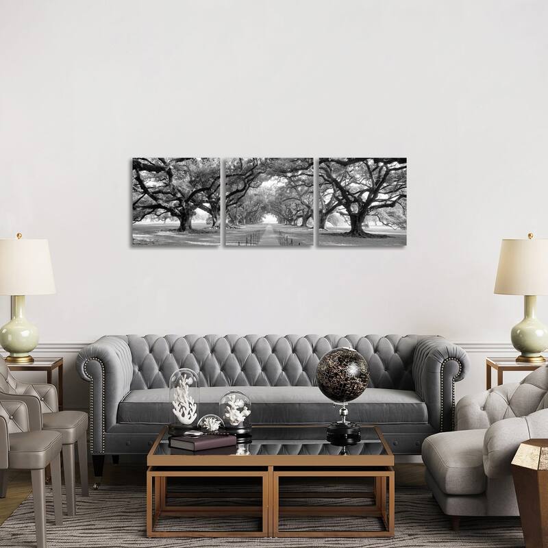 iCanvas "Brick Path Through Alley Of Oak Trees, New Orleans (B&W) II" by Panoramic Images 3-Piece Canvas Wall Art Set - 20x60x1.5