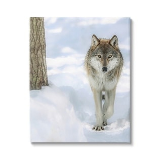 Stupell Wild Wolf Winter Snow Photography Canvas Wall Art by Carrie Ann ...