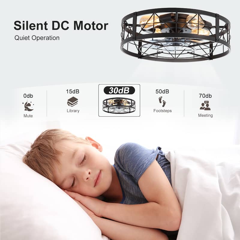 20-in Flush Mount Caged Ceiling Fan with Light Remote(7-Blade)