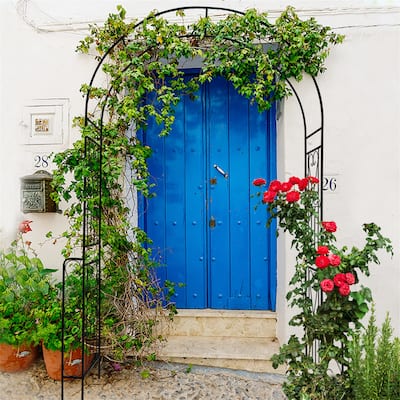 Garden climbing Plants Support Arch Outdoor
