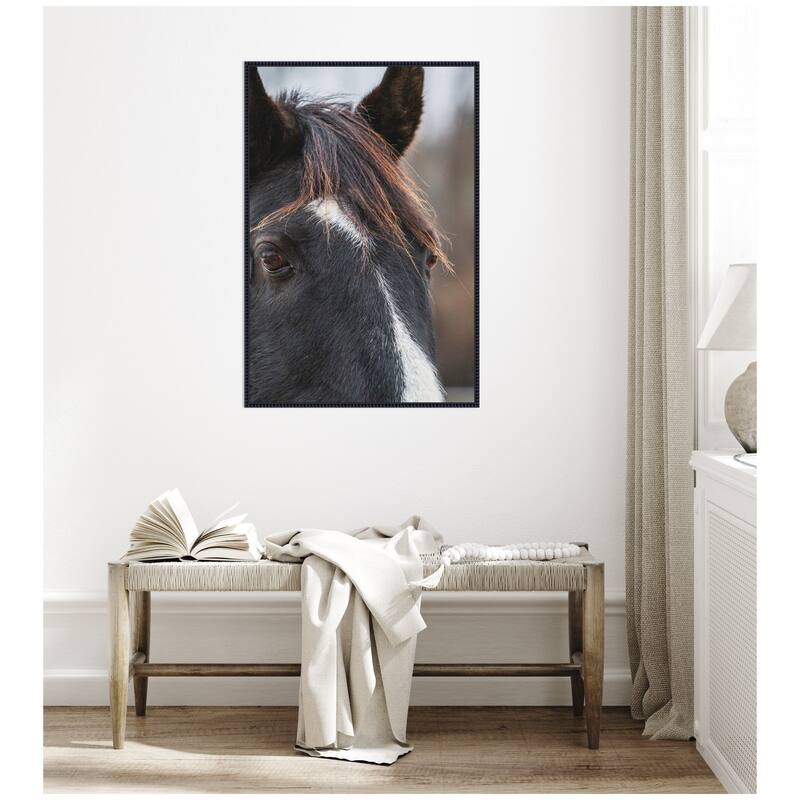 Kate and Laurel Black and White Horse by Emiko and Mark Franzen F2 Images Framed Canvas Wall Art Print