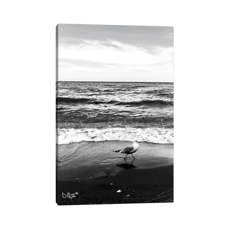 iCanvas "Seagull I" by Donnie Quillen Canvas Print