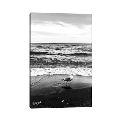 iCanvas "Seagull I" by Donnie Quillen Canvas Print