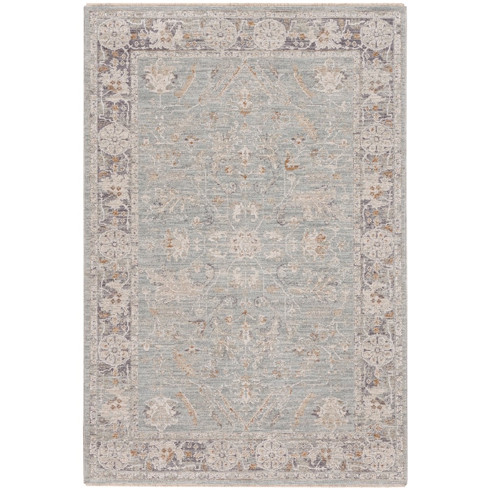 Nourison Asher Indoor only Persian Floral Medallion Area Rug