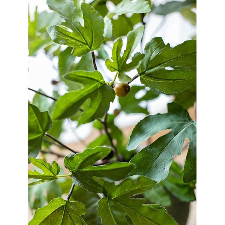 RusticReach Artificial Fig Leaf Stem