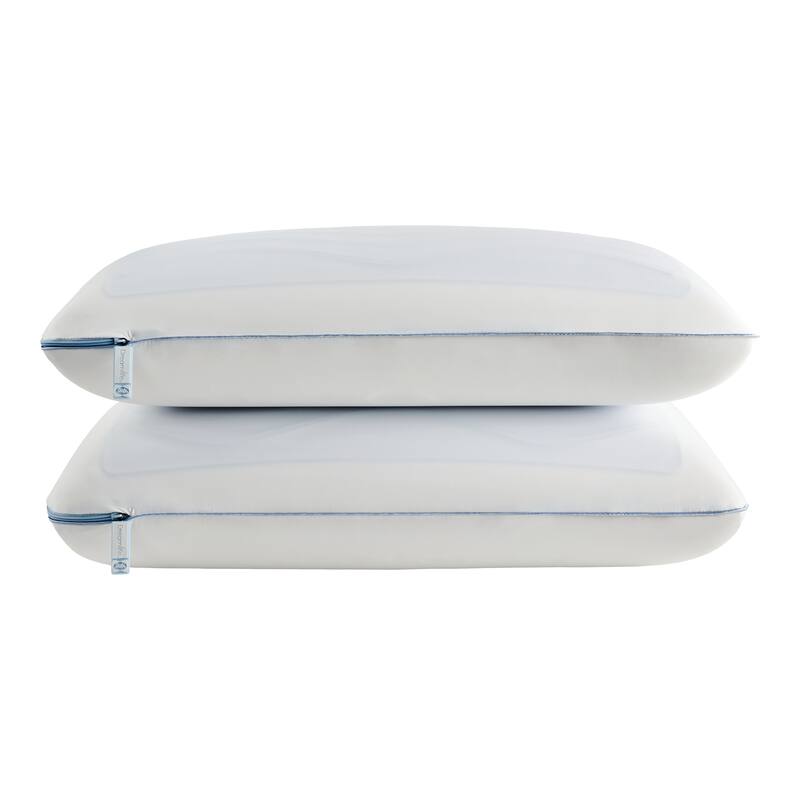 Sealy Dreamlife Memory Foam Gel Pillow