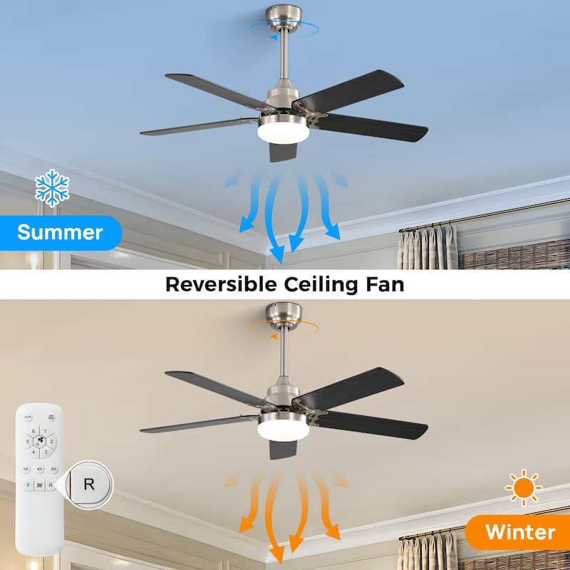 42"/52" Ceiling Fan with Remote,Dual Blade Finish,3CCT LED Light,Plywood Blades,Flush Mount and Downrod Mount