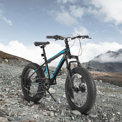 20 in. 7 Speed Steel Mountain Bike with Fat Tire