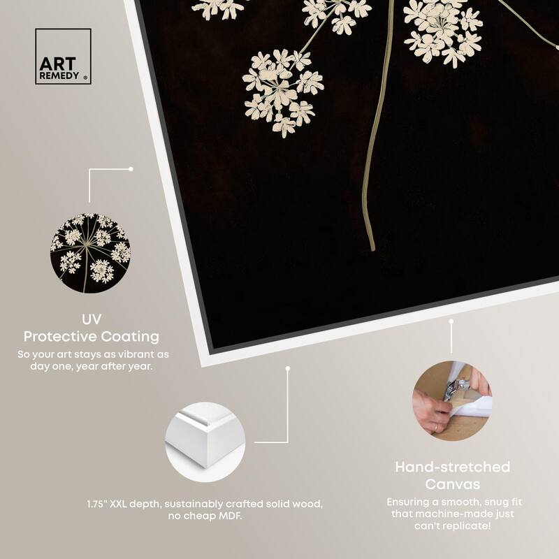 Umbel of Light II Canvas by Art Remedy