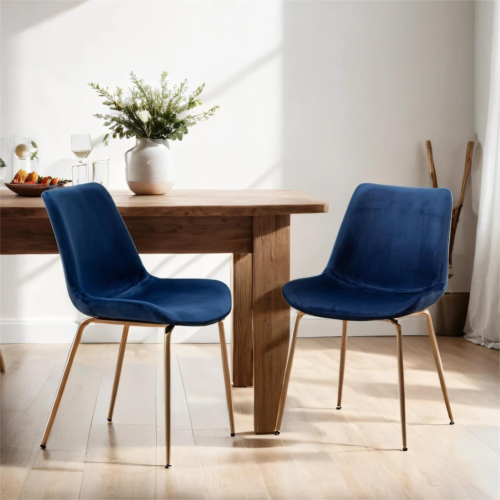 Modern Velvet Dining Chair, Set of 2, Blue/Green/Red