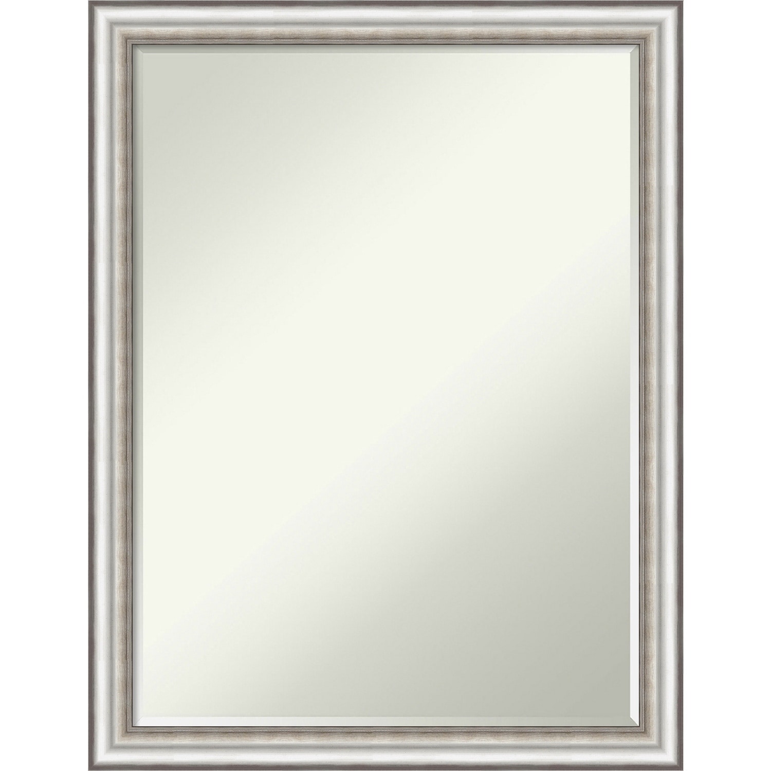 Petite Bevel Bathroom Wall Mirror - Salon Silver Narrow Frame - Salon Silver Narrow - 20 x 26 in