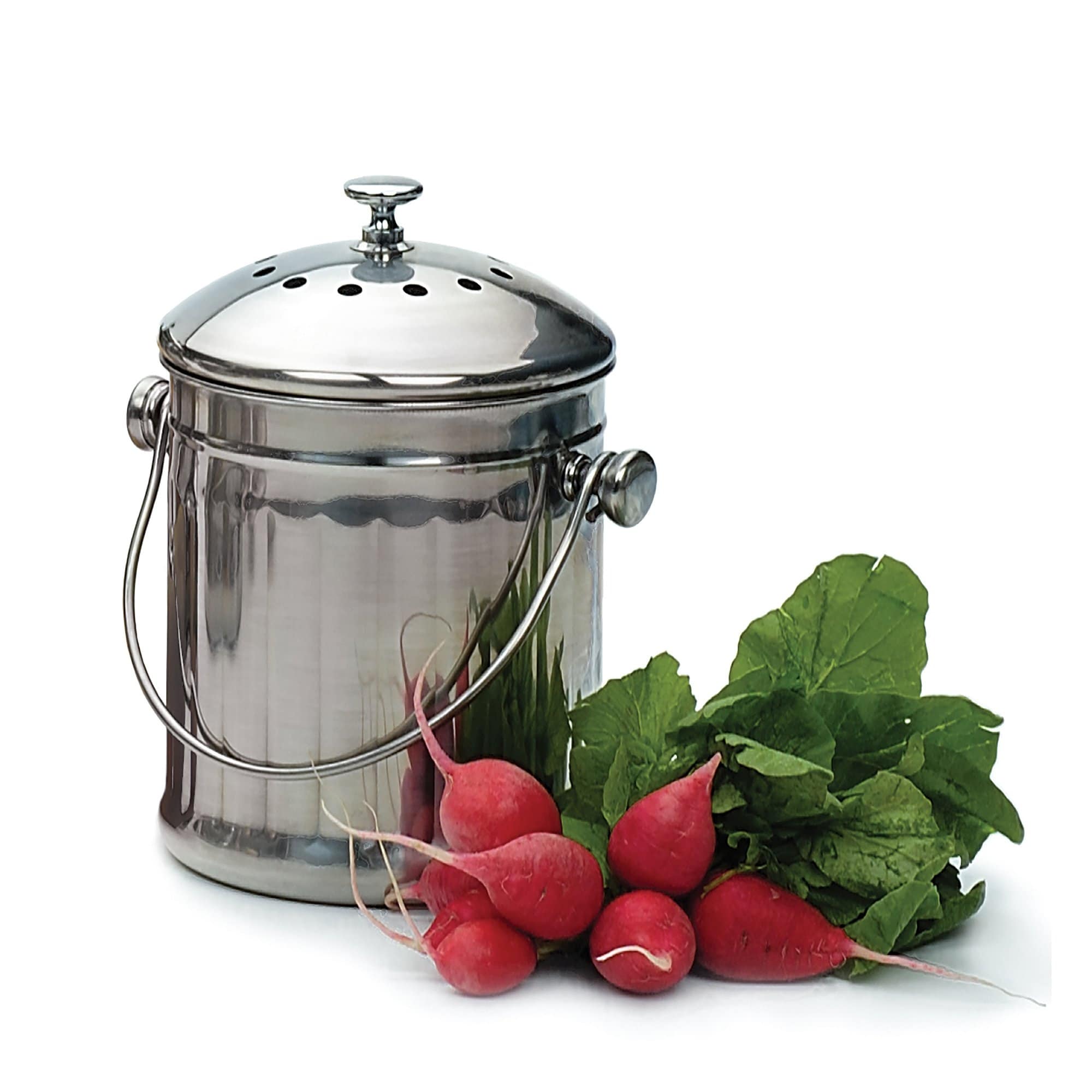 https://ak1.ostkcdn.com/images/products/is/images/direct/d183f5cfd13c19464d7734c5a836ba5292619180/Stainless-steel-compost-bucket.jpg