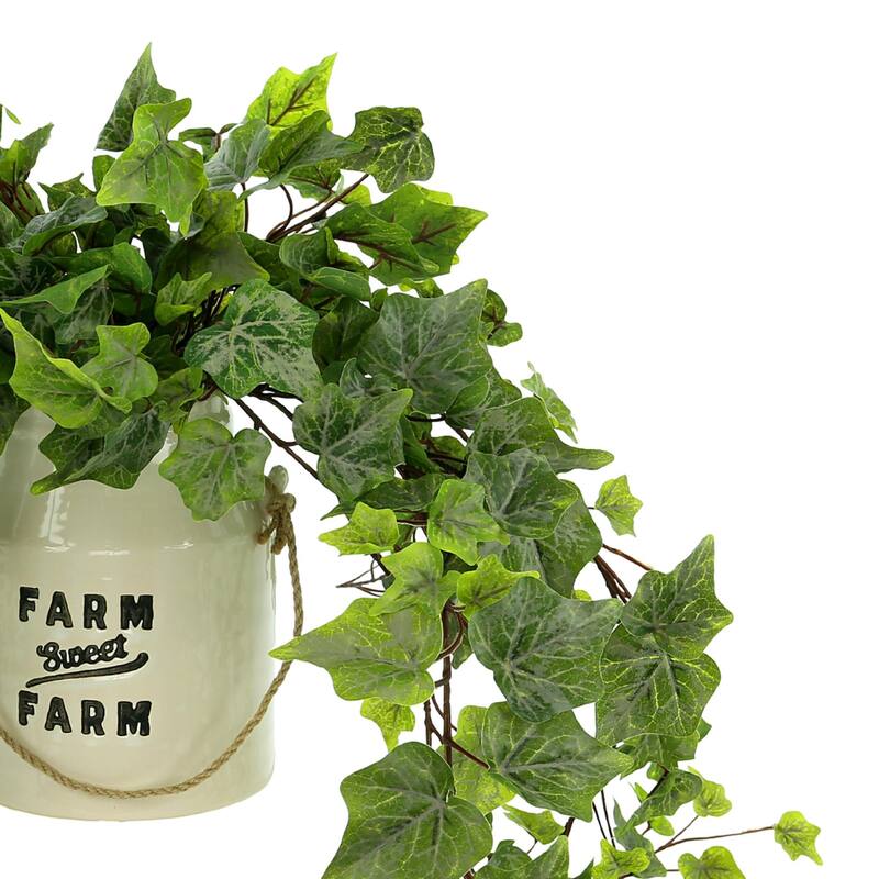 Ivy Arrangement in a Ceramic Pot - Green
