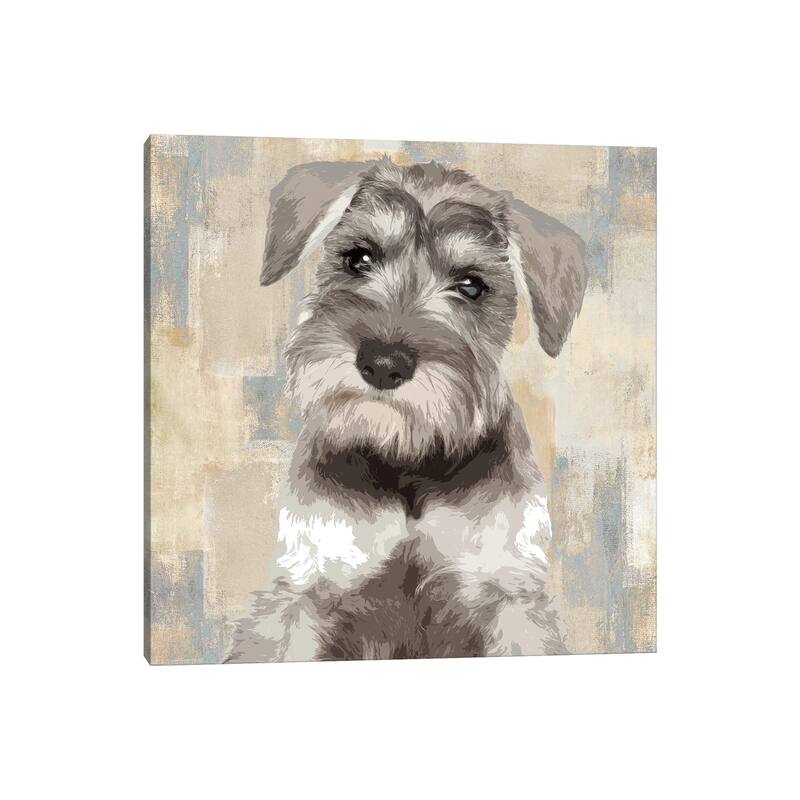 iCanvas "Miniature Schnauzer" by Keri Rodgers Canvas Print