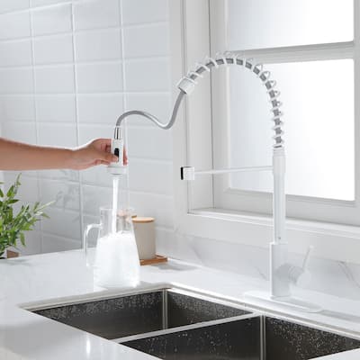 Zlay Kitchen Faucet with Pull Out Sprayer