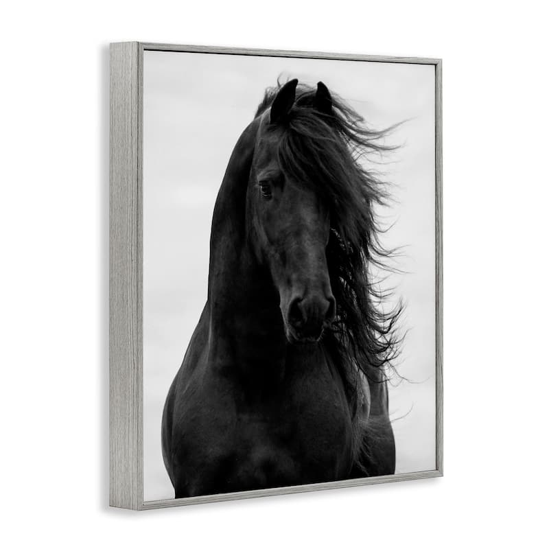 Stupell Black Stallion Horse Portrait Soft Grey Sky Photography Framed Wall Art